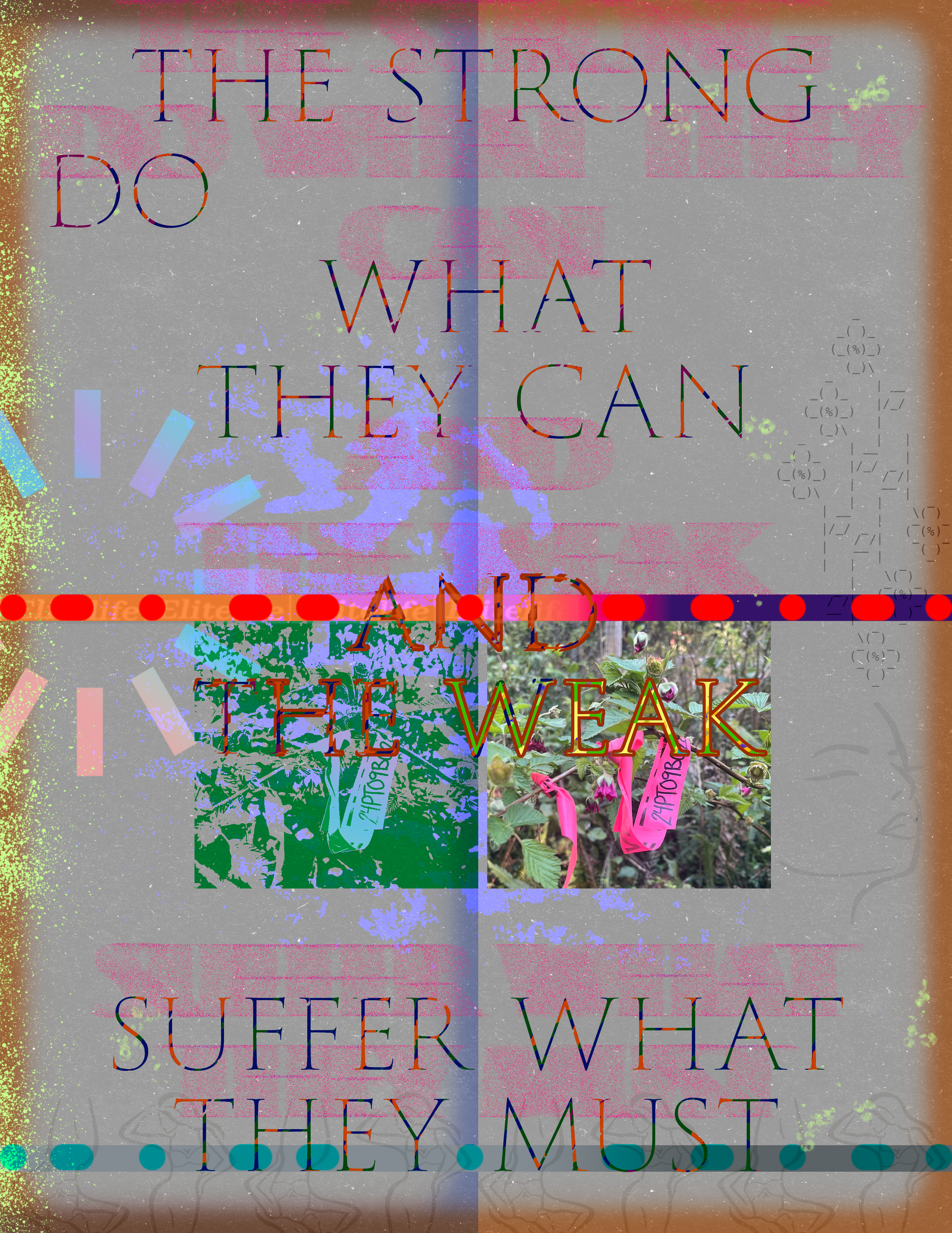 Title of Work
